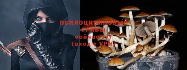 мескалин Балахна