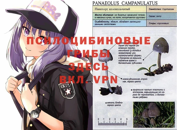 каннабис Переславль-Залесский