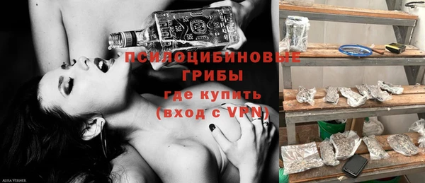 мет Пересвет